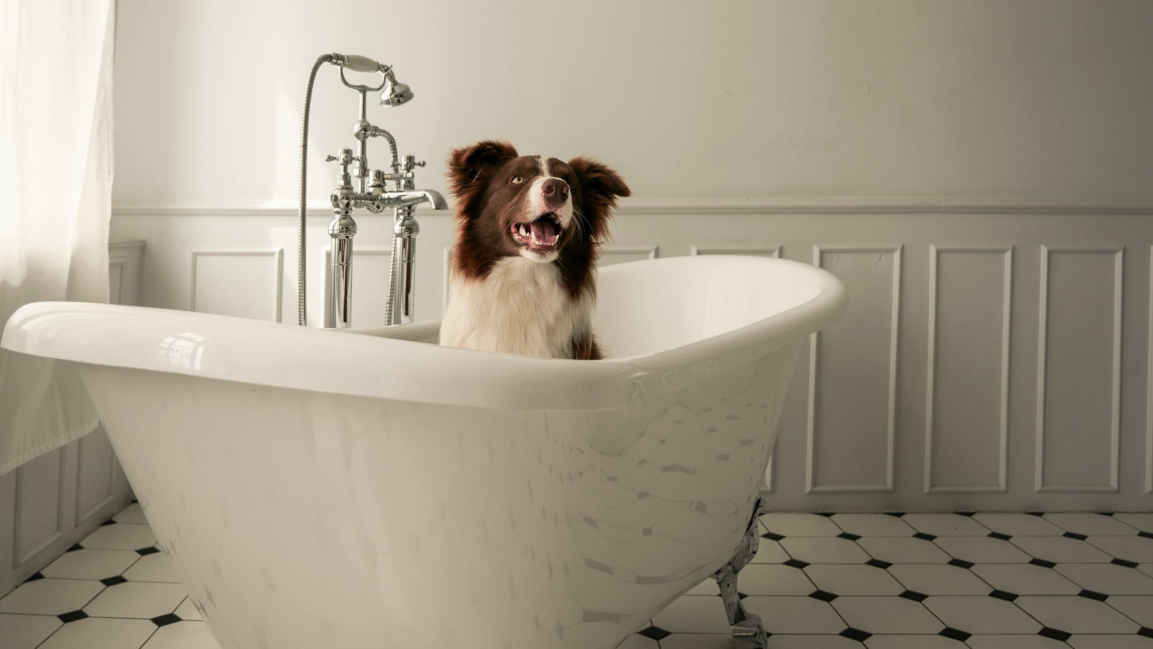 Small Bathroom, Big Impact: Maximizing Space and Style