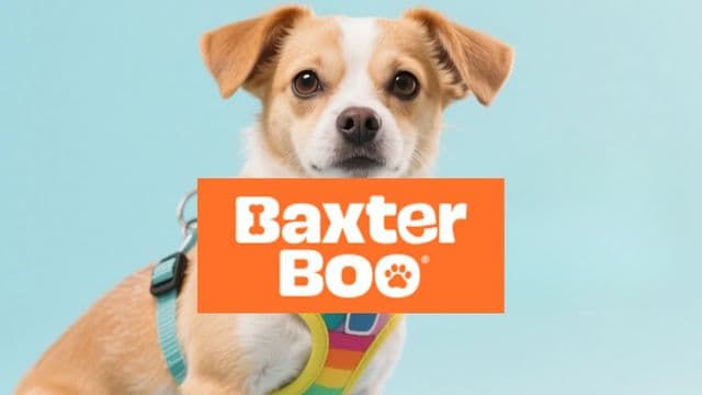 Baxterboo