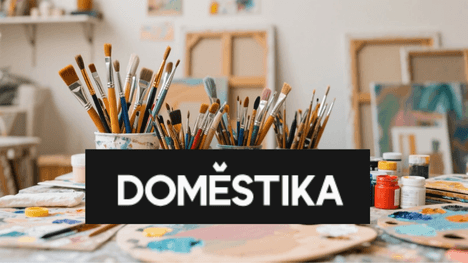 Domestika