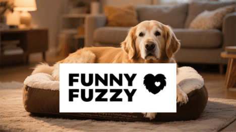 Funnyfuzzy