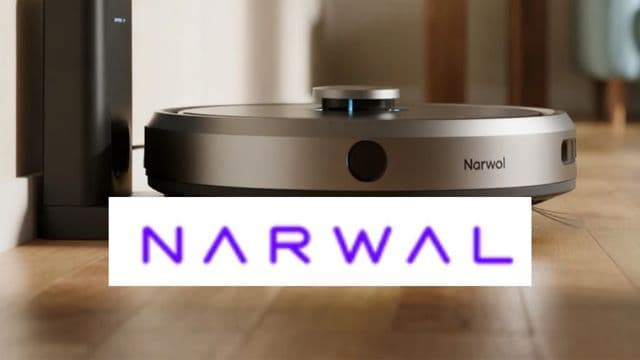 Narwal