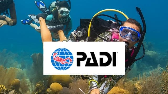 Padi
