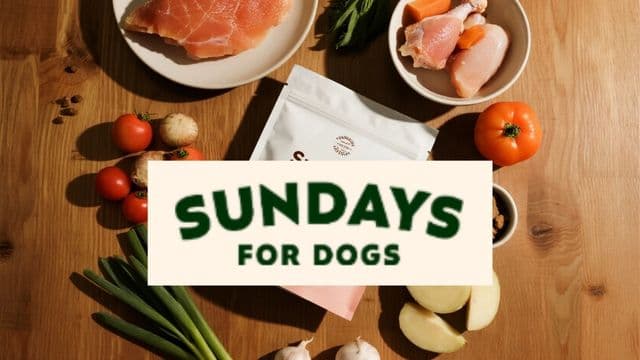Sundaysfordogs Product