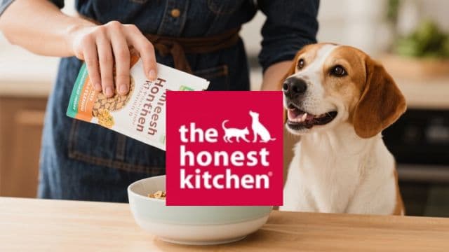Thehonestkitchen